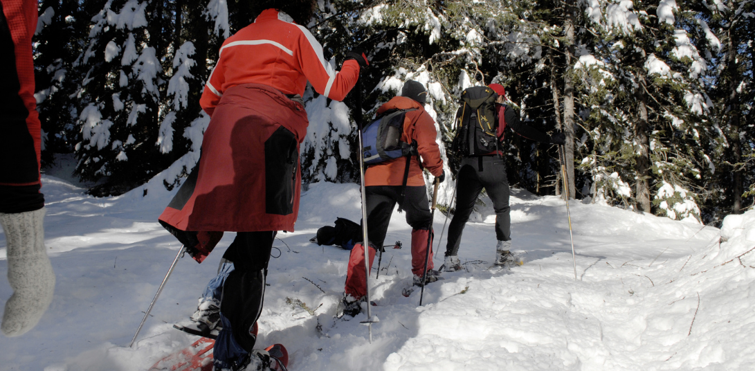Team Building : Balade en raquettes