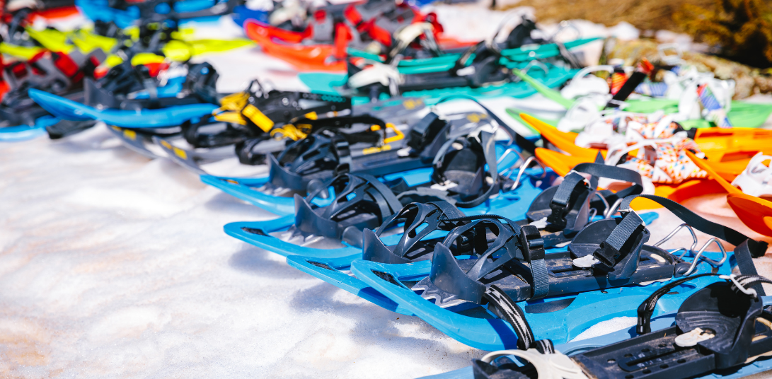 Team Building : Balade en raquettes