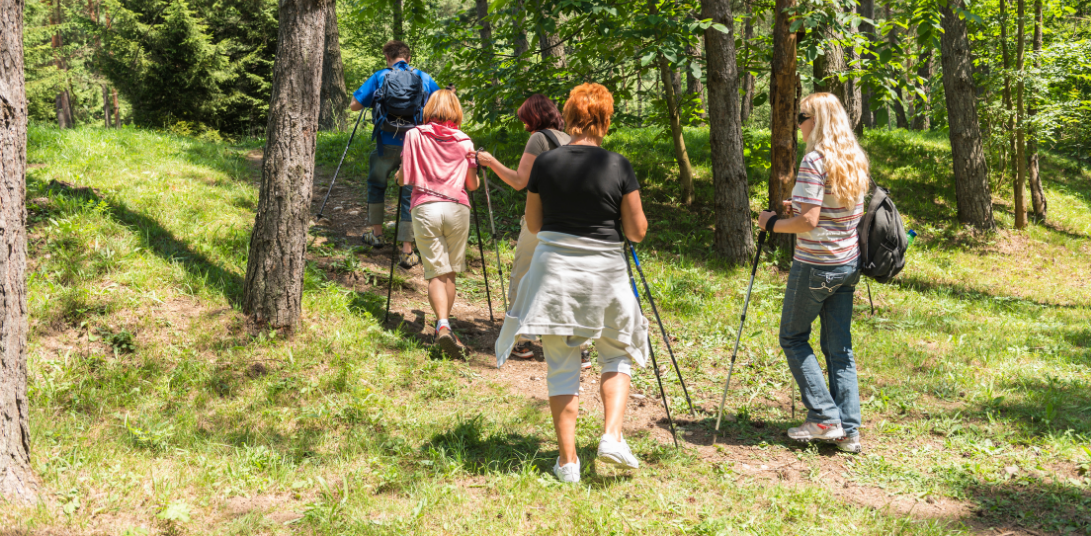 Team Building : Marche Nordique