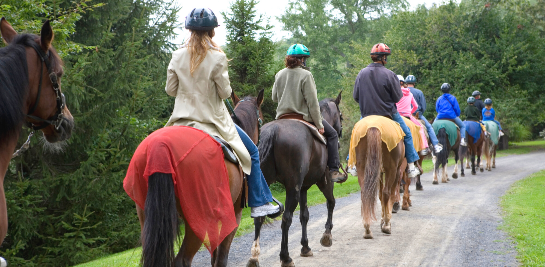 Team Building : Quad et Cheval