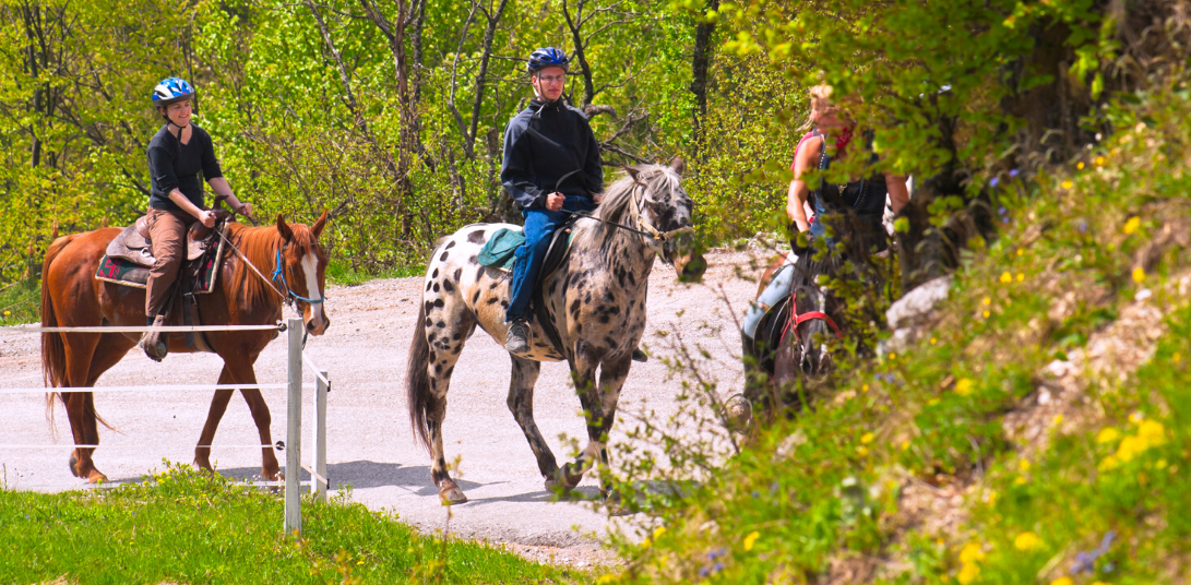 Team Building : Quad et Cheval