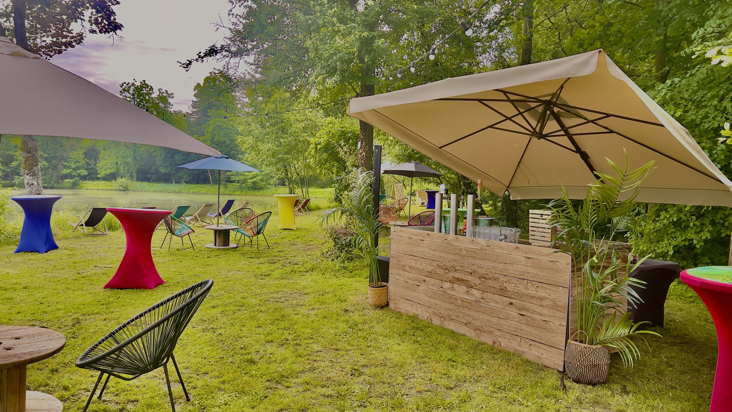 Organisation Garden Party avec Bar à Cocktail à Strasbourg dans le Bas-Rhin